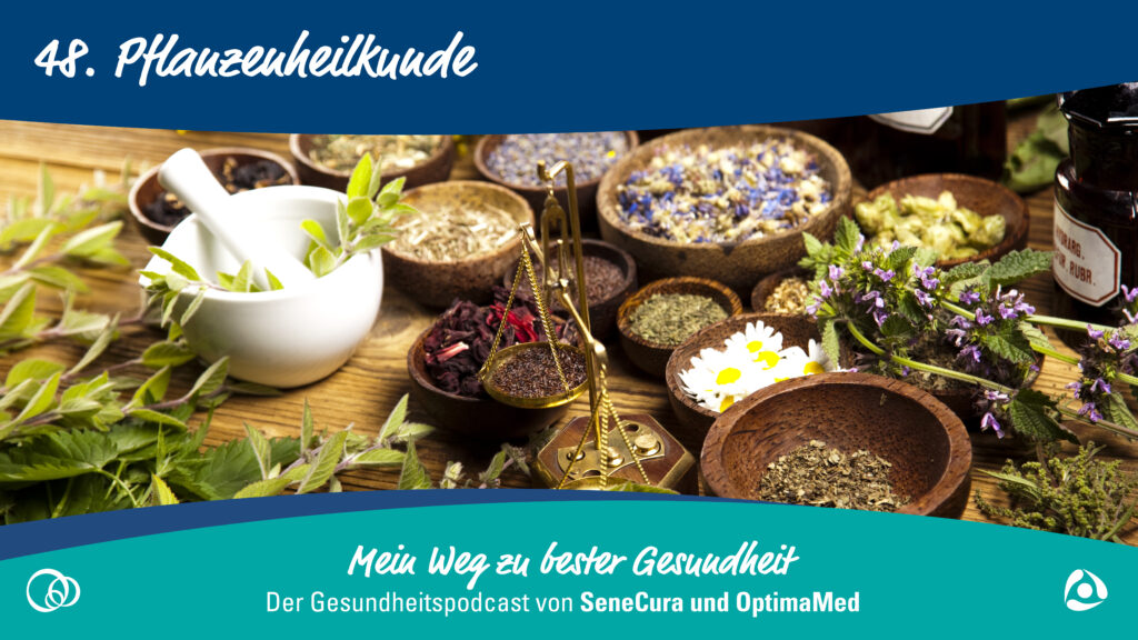 Gesundheit aus dem eigenen Garten - die Pflanzenheilkunde